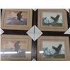 Image 2 : 7 New Framed Eagle Pictures
