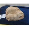 Image 2 : Petrified Wood
