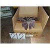 Image 1 : MERIT BorePolisher 3" x 1"1/2 x 1/4"-20 Gr.180