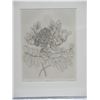 Image 2 : African Tulip, Signed by Jay Wilson, Framed & Matted 21" x 17"