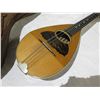 Image 8 : W.A. Cole 8-String Imperial Mandolin Patented 1891 24"L x 7.5"W in Hard Case