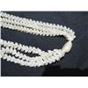Image 8 : Niihau Shell Lei, 3-Strand White Pikake w/ Certificate of Authenticity 36"L