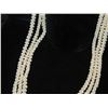 Image 8 : Niihau Shell Lei, White 3-Strand 40"L
