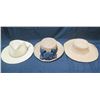 Image 1 : Qty 3 Hats: Summer Rules by Firethorn, Straw Hat, Scala Panama