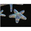 Image 2 : Qty 4 Nohea Gallery Honolulu Star w/ Luminous Colors 3"-6"L