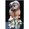 Image 1 : Elf Owl on Holly Perch, Andrea by Sadek, Made in Japan 10"H