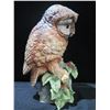 Image 2 : Elf Owl on Holly Perch, Andrea by Sadek, Made in Japan 10"H
