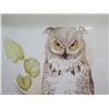 Image 2 : Framed Owl Print, Signed F. Massa B.P. Co. 1810-0400 22"x25"