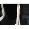 Image 8 : Niihau Shell Lei, Long 4-Strand Necklace w/ Shell Clasp 40"L