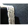Image 8 : Niihau Shell Lei, Long 5-Strand Necklace w/ Shell Clasp 26"L