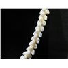 Image 8 : Niihau Shell Lei Necklace w/ Shell Clasp 20"L