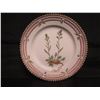 Image 2 : Flora Danica Royal Copenhagen "Cardamine Faerounsis Horn" 3522 Collector Plate 6" Diameter