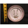 Image 8 : Flora Danica Royal Copenhagen "Cardamine Faerounsis Horn" 3522 Collector Plate 6" Diameter