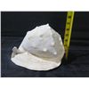 Image 8 : White Natural Conch Seashell 10"L, 7"H