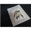 Image 42 : Qty 4 Vintage Books: Modern Painting, Art of the Louvre, Daumier & Audubon Birds