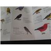 Image 8 : Qty 11 Books: Taste of Hawaii, Hawaiian Birdlife, Stepping into Time, Royal Torch, etc