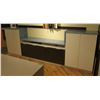Image 1 : Cabinets w/ Silestone Countertop - Tall End Cabinets, Base Cabinets, Interior Shelving