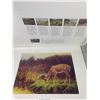 Image 1 : SET OF 23 1/2" x 18" DWAYNE HARTY WILDLIFE PRINTS