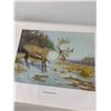 Image 4 : SET OF 23 1/2" x 18" DWAYNE HARTY WILDLIFE PRINTS