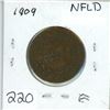 Image 1 : 1909 NFLD 1¢ one cent
