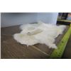 Image 3 : White Rabbit Pelt