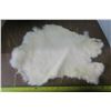 White Rabbit Pelt