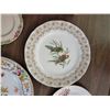 Image 4 : 9 assorted bone china plates no chips or cracks
