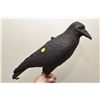 Image 1 : Raven/Crow Decoy