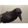 Image 2 : Raven/Crow Decoy