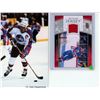 Image 1 : Dale Hawerchuk UD 2013-14 Rare Jersey Card Mint.