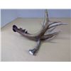Image 7 : Antler wine bottle holder, hand-blown glass bead stopper