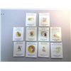 Image 2 : Lot of Beatrix Potter books (10)