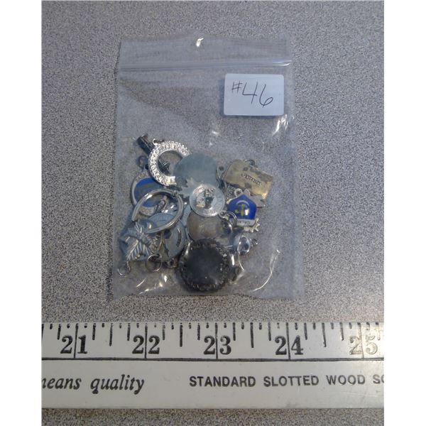 46. Lot of sterling silver charms (38.77 grams)