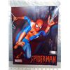 Image 3 : 196. Marvel Comics tin signs, Spiderman, 2005 and Iron Man, 2009