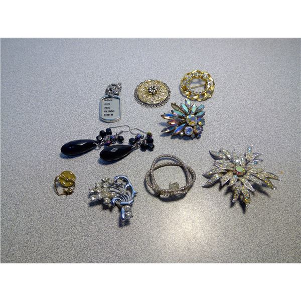 Lot of Pins, 1 Pair Pierced Earrings