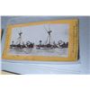 Image 2 : Stereoscope Cards - Wreck of the Maine