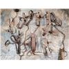 Image 1 : (9) small animal traps (various sizes)