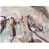 Image 3 : (9) small animal traps (various sizes)