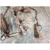 Image 5 : (9) small animal traps (various sizes)
