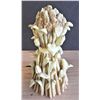 Image 2 : Mary Moo Moos Corn - 1995