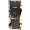 Image 1 : 2 DOOR VERTICAL BLACK CABINET GRAND AND TOY