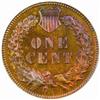 Image 2 : 1904 Indian Cent. PR66 BN (PCGS).