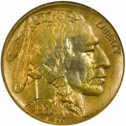 1920-D Buffalo Nickel. MS64 (NGC).