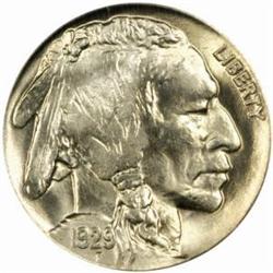 1929 Buffalo Nickel. MS66 (PCGS).