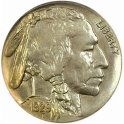 1929-D Buffalo Nickel. MS65 (PCGS).