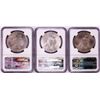 Image 2 : Lot of 1922-1924 $1 Peace Silver Dollar Coins NGC MS64