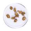 Image 1 : Lot of Gold Nuggets 4.55 grams Total Weight