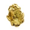 Image 1 : 5.59 Gram Yukon Gold Nugget