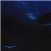 Image 2 : Wyland Original "Orca Dive" Original Oil On Canvas