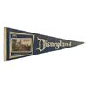 Image 1 : Disneyland Lenticular Photo Pennant.